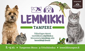 Lemmikki Tampere