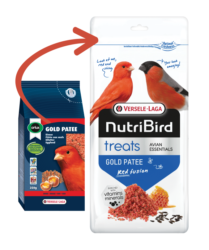 5411204111082treats