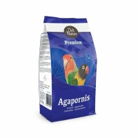 Premium_agapornis