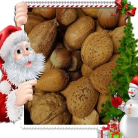 nuts_xmas